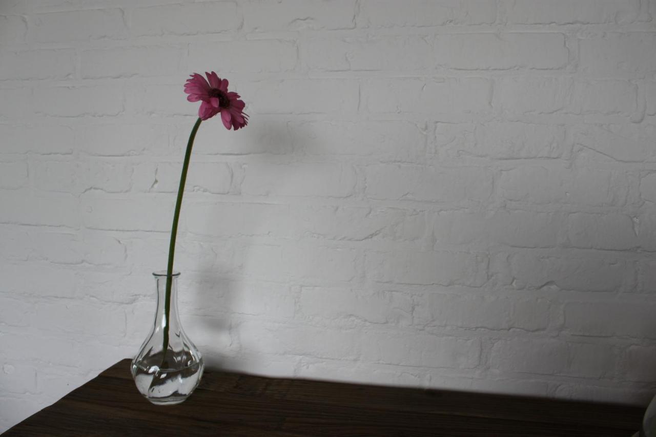 B&B 'T Hoogste 보르넴 외부 사진